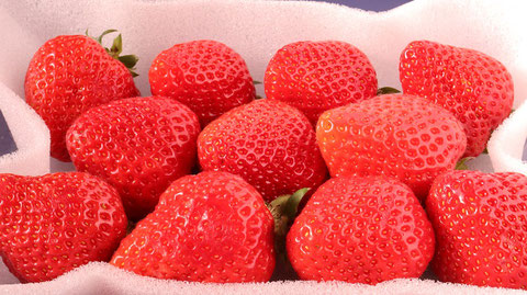 いちご、イチゴ、果物、フルーツ、ダイエット、お菓子、おやつ、料理、食べ物の写真フリー素材　 Strawberries, Fruits, Fruits, Diets, Sweets, Snacks, Cooking, Food Photos Free Material