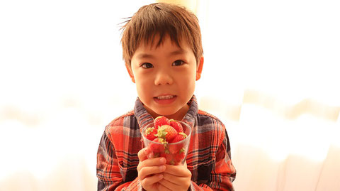 苺、果物、フルーツ、子供、インテリア、赤い花、ピンクの花、写真フリー素材　Strawberries, fruits, fruits, children, interiors, red flowers, pink flowers, photo free material