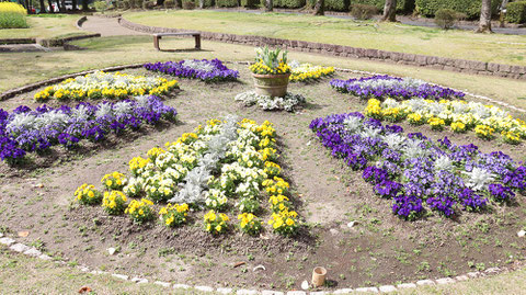 公園の花壇の写真フリー素材　Park Flowerbed Photo Free Material