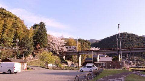 山、桜、電車、夕方、田舎の風景の写真フリー素材 Mountains, cherry blossoms, trains, evenings, countryside landscape photos free material