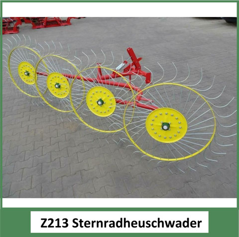 Z213 Sternradschwader