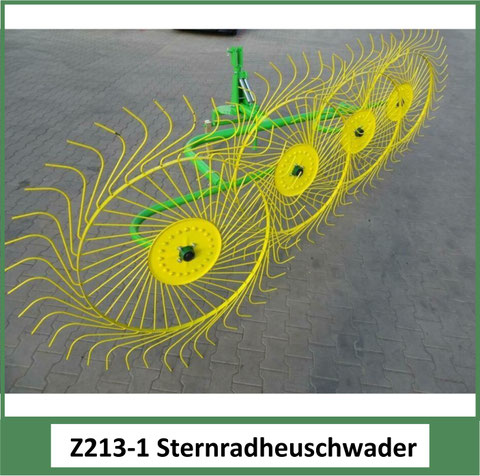 Z213-1 Sternradschwader