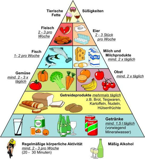 Quelle:  Ernährungspyramide DGE, Wikipedia