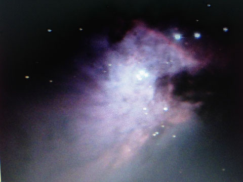 Ein einzelnes, bearbeitetes Frame vom Orion-Nebel M42. 10s belichtet. Inkl. Darks & Bias. Chip: -19°C (Mit dem Handy vom Notebook fotographiert!!)