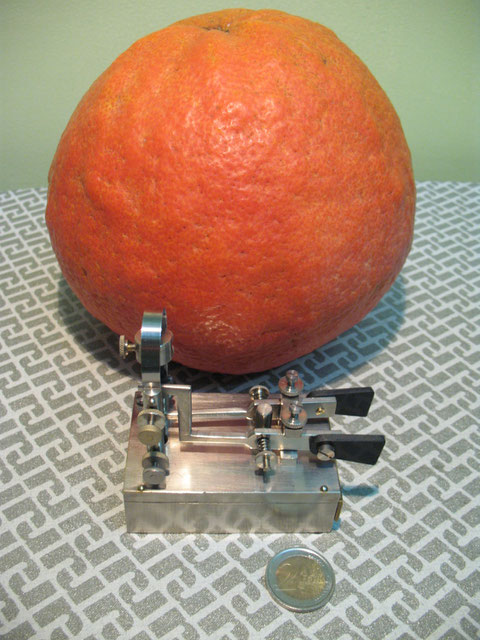 Mini-Pendo in confronto ad un frutto di Pomelo