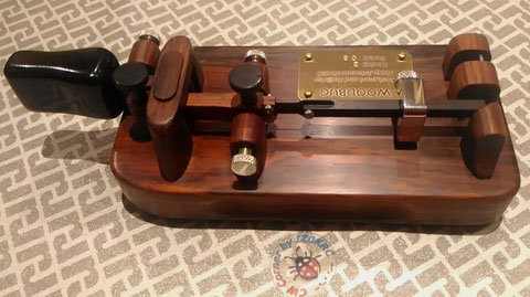 The Woodbug
