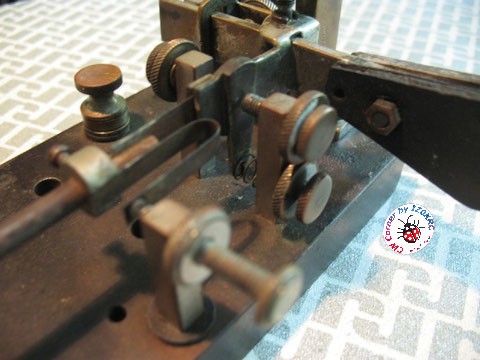 Particolare sistema di dumper
