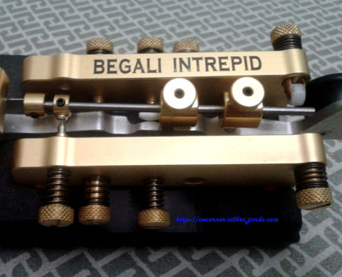 Begali Intrepid bug - particularo of vibrating and regulation system