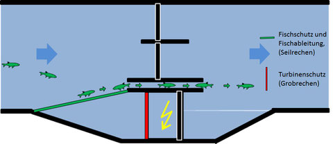 fig. 1: Seperate fish and turbine protection