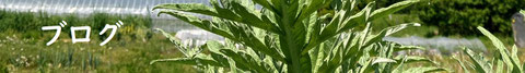 ブログへのリンク画像