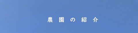 大宮HIRATA農園の紹介ページへのリンク画像