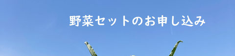 農園で扱っている野菜セットのページへのリンク画像