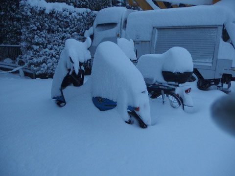 ちなみに当日の雪はこれよりも15センチくらい積もっていました。これは前日の写真なので(笑)