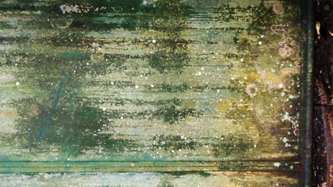bound for eden, eva marie lobmaier, travel photography, natural pattern, Philippines