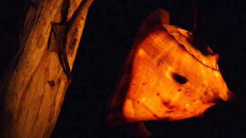 2013-Oct-13 Illuminated, Camiguin Phillipines