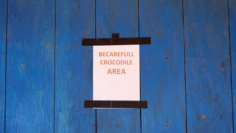 Dragons and crocodiles, be aware!