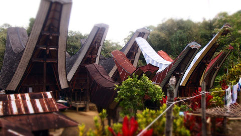 Typical village in Tana Toraja, Indonesia