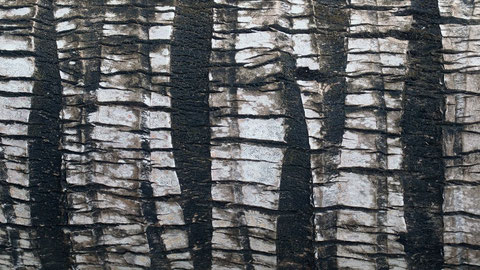 bound for eden, eva marie lobmaier, travel photography, natural pattern, Philippines