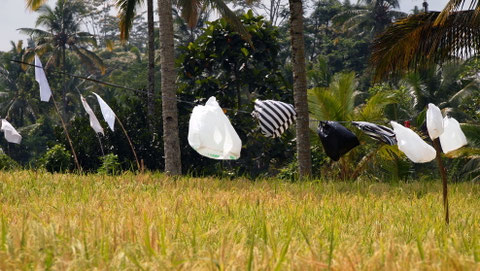 Plastic bags