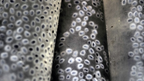 bound for eden, eva marie lobmaier, travel photography, natural pattern, Indonesia
