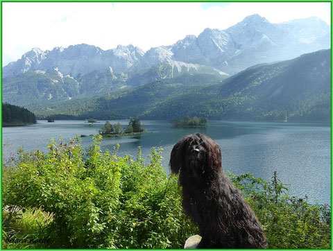 Am Eibsee