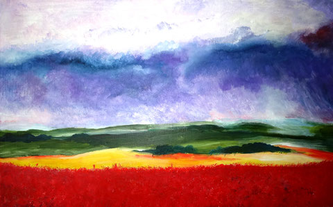 Mohn auf Rügen