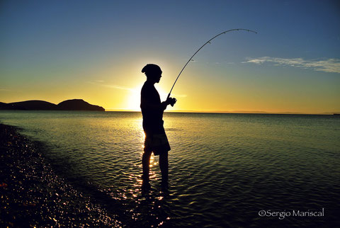 Que hacer en La Paz, Baja