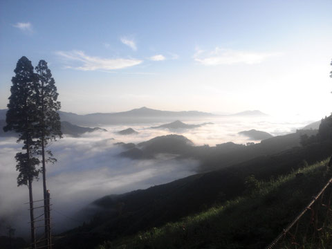 朝一番、通勤途中に見える雲海