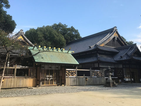 テラヨガ愛知 武雄神社 takeo jinja terayoga テラヨガ