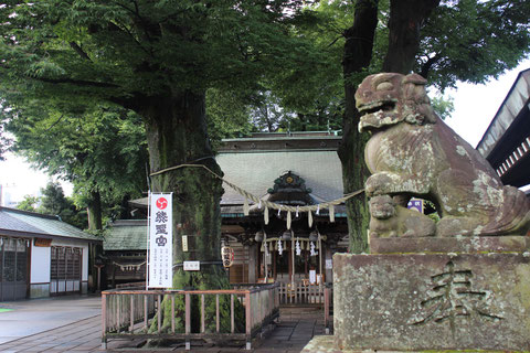 テラヨガ東京 熊野宮 kumanogu terayoga テラヨガ