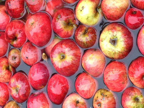 Foto: Fabio Di Pietro