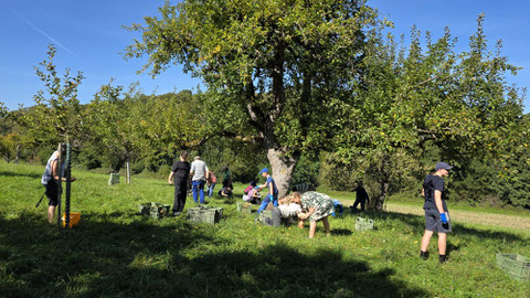 Foto: Lukas Merkelbach