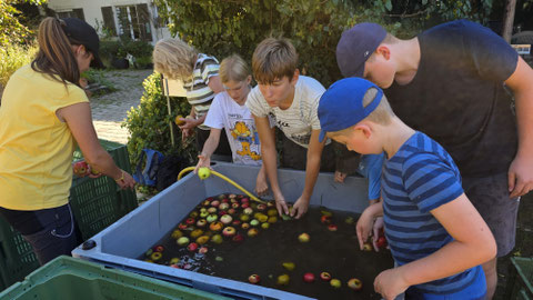 Foto: Lukas Merkelbach