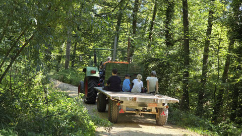 Foto: Lukas Merkelbach