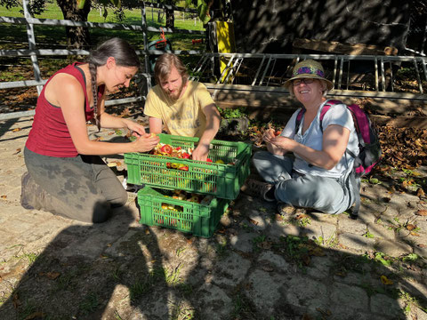 Foto: Fabio Di Pietro