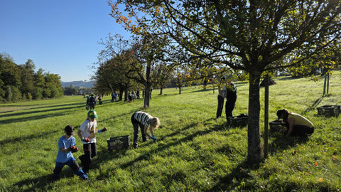 Foto: Lukas Merkelbach