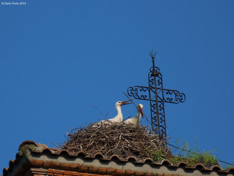Cicogne, Quartiano, Lodi
