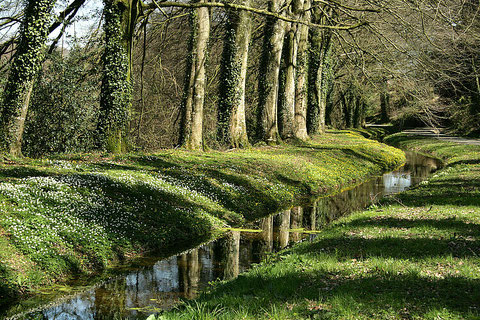 © Bretagne Centre Tourisme A LE PRIELLEC