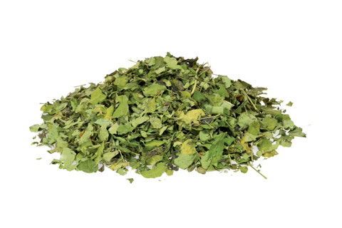Moringa Blätter