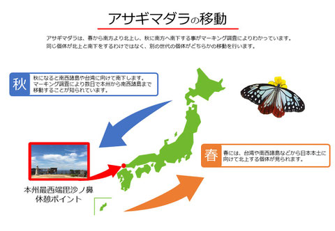 アサギマダラの移動