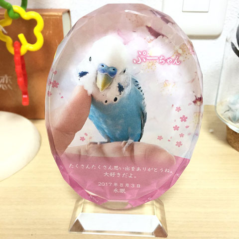 ペットのメモリアルプレート お位牌(お客様の声)