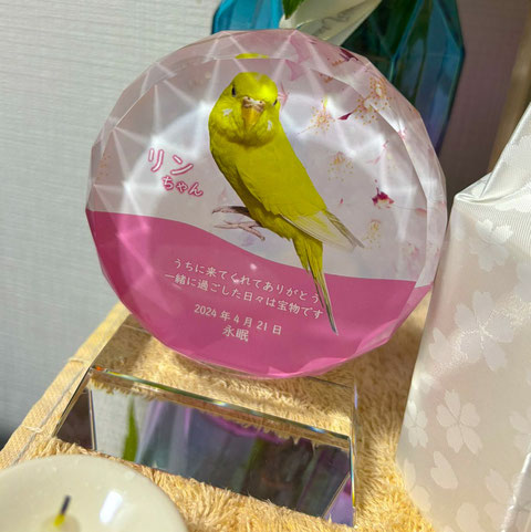 クリスタル位牌 小鳥 インコ位牌 メモリアルプレート