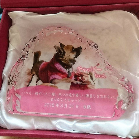 ペットのメモリアルプレート お位牌(お客様の声)