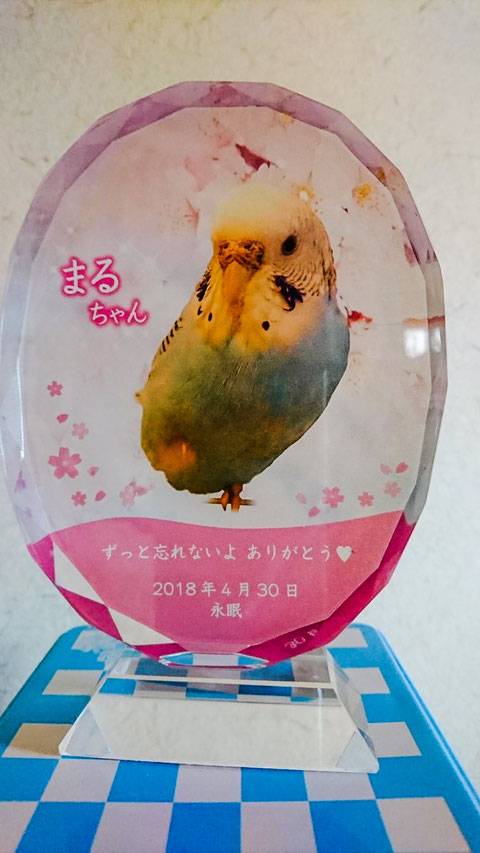 ペットのメモリアルプレート お位牌(お客様の声)