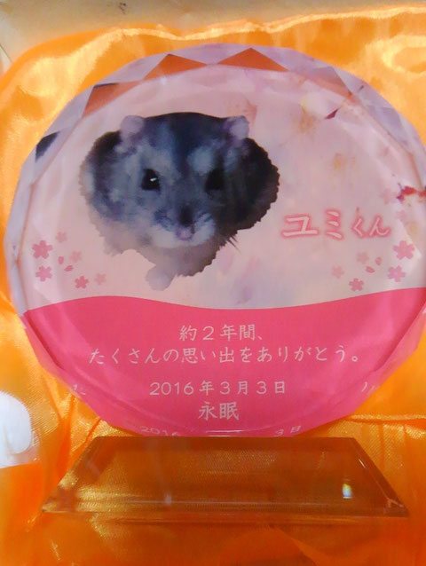 ペットのメモリアルプレート お位牌(お客様の声)
