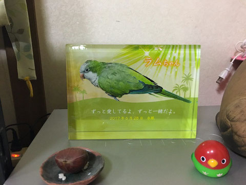 ペットのメモリアルプレート お位牌(お客様の声)