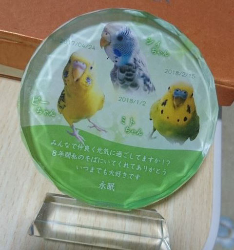 ペットのメモリアルプレート お位牌(お客様の声)