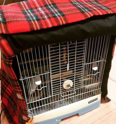 ぽむ様 猫さんケージカバー Amazon.co.jp: Sefod ペットケージカバー 犬 猫 ケージカバー 鳥 兎