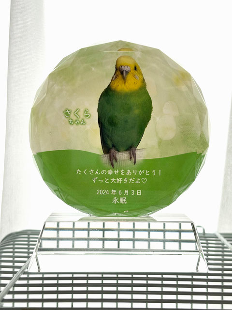クリスタル位牌 小鳥 インコ位牌 メモリアルプレート