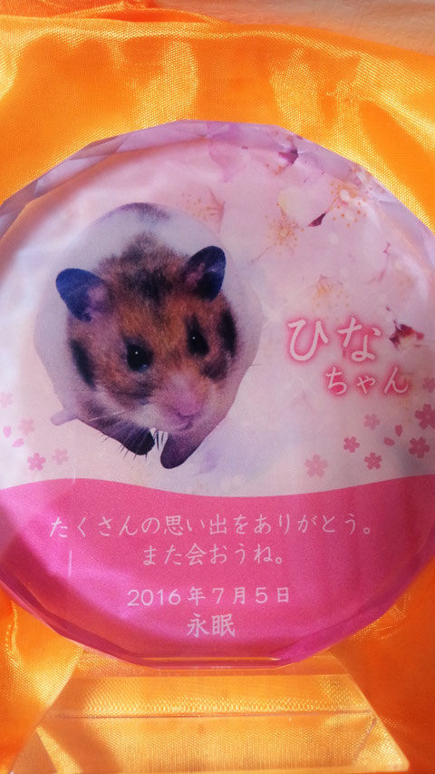 ペットのメモリアルプレート お位牌(お客様の声)